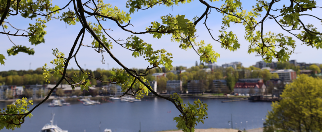 Puiden oksia, taustalla kaupunginlahti